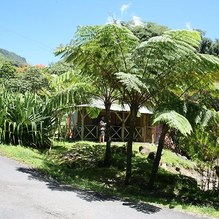 Natty Tropical Valley Roseau Exterior foto