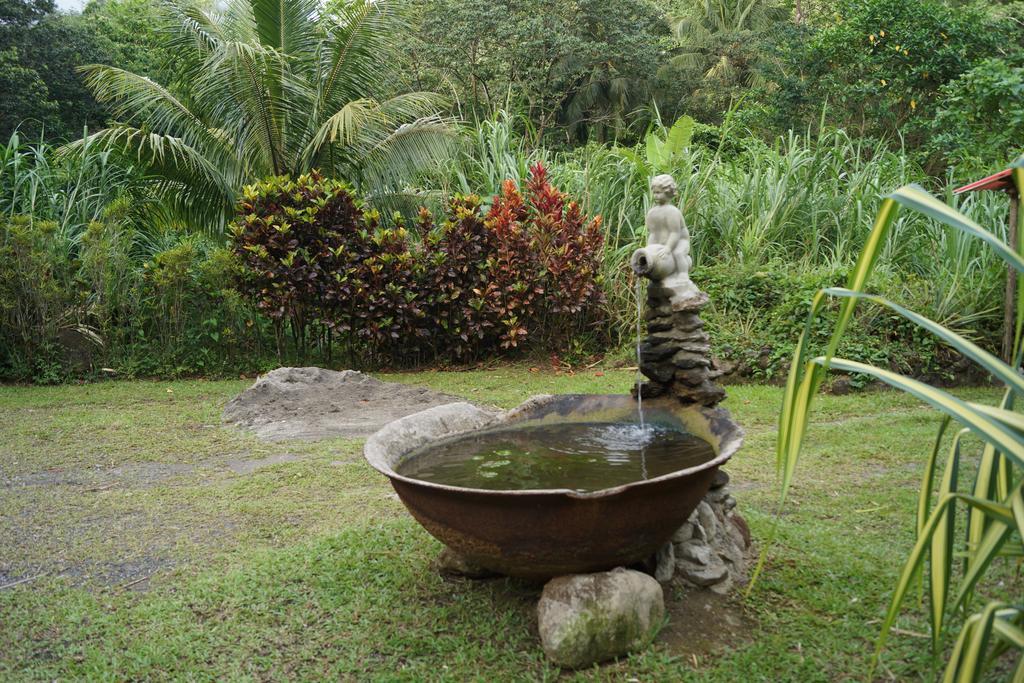 Natty Tropical Valley Roseau Exterior foto