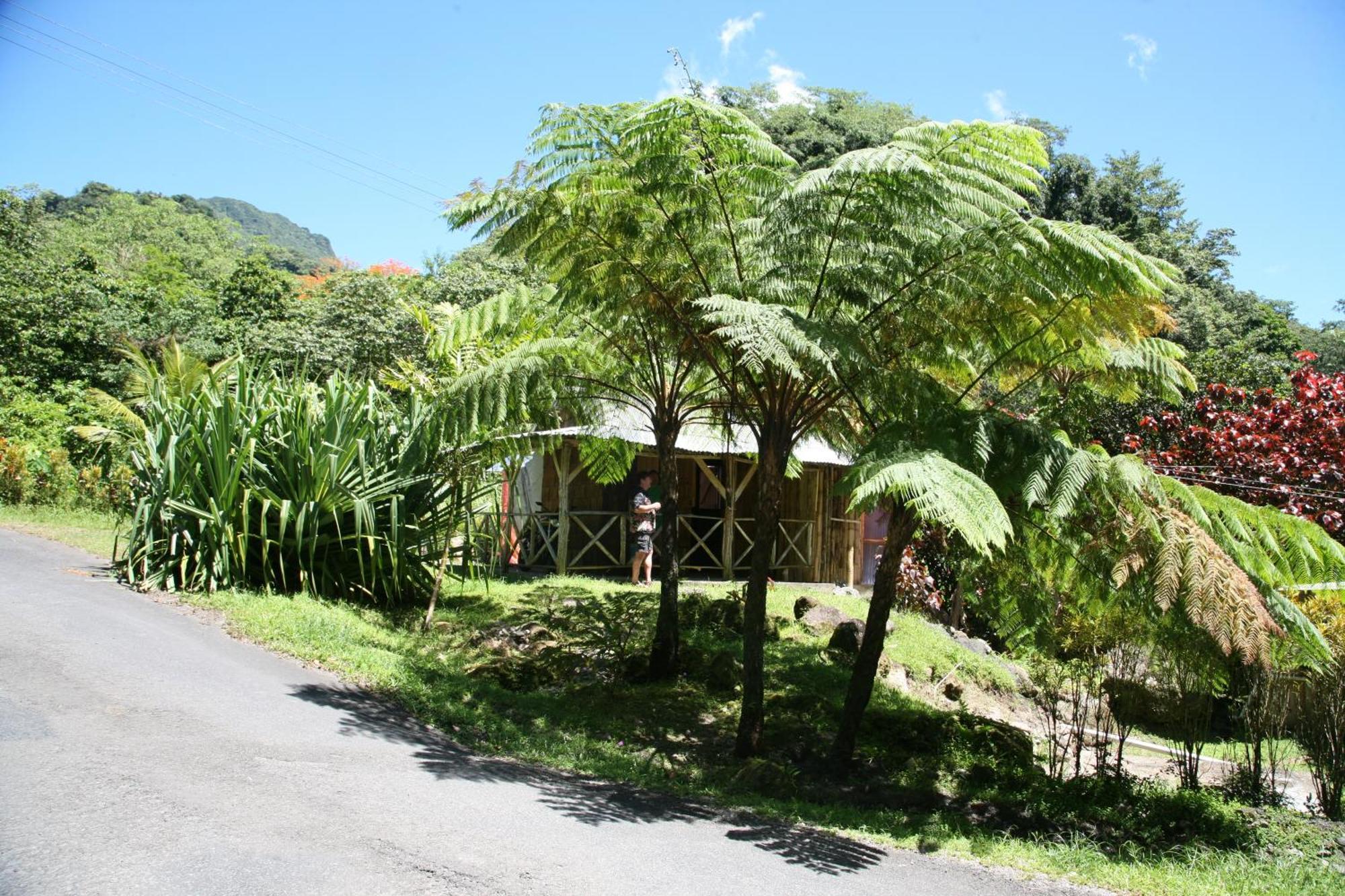 Natty Tropical Valley Roseau Exterior foto