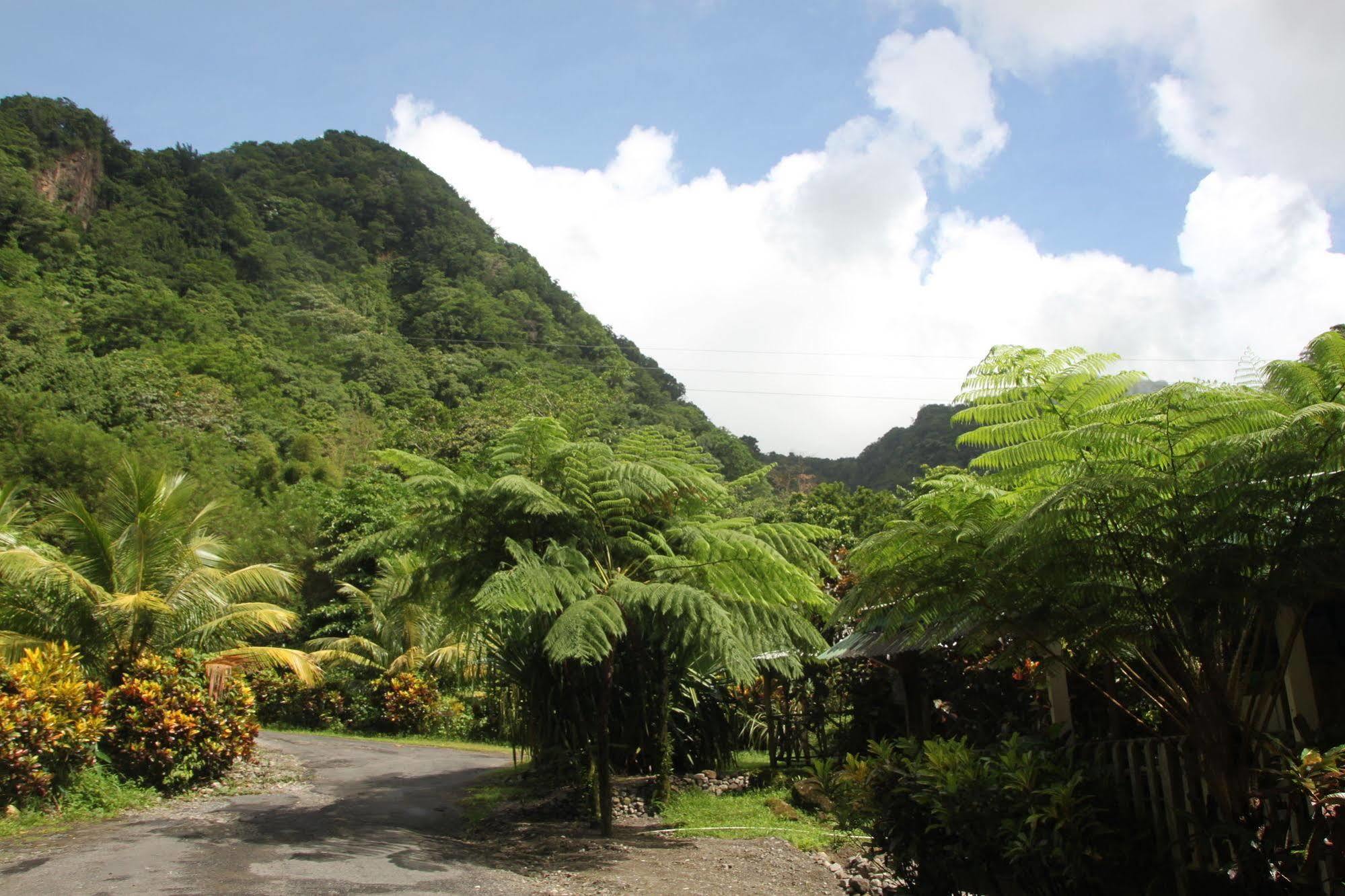 Natty Tropical Valley Roseau Exterior foto